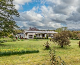 Rural / Farming commercial property sold at 3388 Coleraine-Balmoral Road Englefield VIC 3407