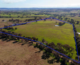 Rural / Farming commercial property sold at Lot 3 Milo Roads Murringo NSW 2586