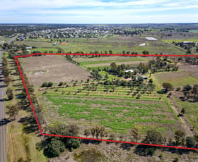 Rural / Farming commercial property sold at 145 Old Gunnedah Road Narrabri NSW 2390