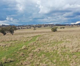 Rural / Farming commercial property sold at 877 Swinging Ridges Road Willow Tree NSW 2339
