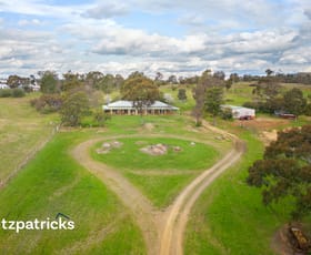 Rural / Farming commercial property sold at 62 Old Bomen Road Cartwrights Hill NSW 2650