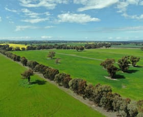 Rural / Farming commercial property for sale at 1015 Mid-Western Highway Cowra NSW 2794