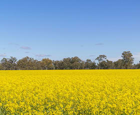 Rural / Farming commercial property sold at Aratula Lower River Road Tocumwal NSW 2714