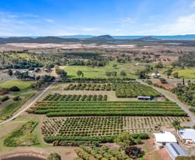 Rural / Farming commercial property sold at 924 Tanby Road Tanby QLD 4703