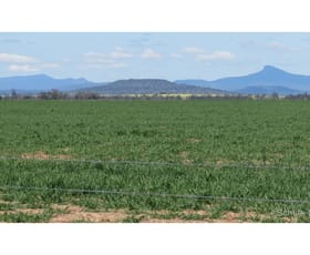 Rural / Farming commercial property sold at 136 Murraiman Rd - Almora Coonamble NSW 2829