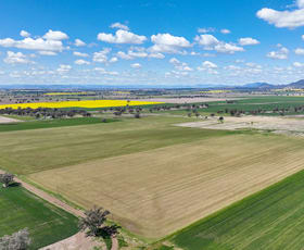 Rural / Farming commercial property sold at 'Weroona' Willans Lane Tamworth NSW 2340