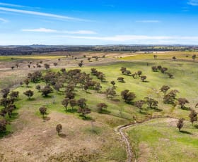 Rural / Farming commercial property sold at 113 Three Rivers Road Molong NSW 2866