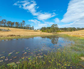 Rural / Farming commercial property sold at 1802 Booral Road Girvan NSW 2425