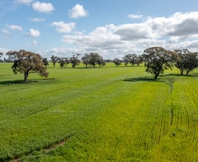 Rural / Farming commercial property for sale at 1 Humeden Road Collendina NSW 2646