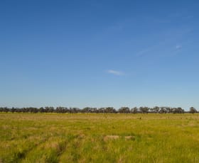 Rural / Farming commercial property sold at 324 Thanowring School Road Temora NSW 2666