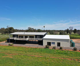 Rural / Farming commercial property sold at 20574 Kidman Way Mount Hope NSW 2877