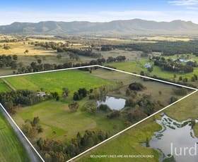 Rural / Farming commercial property for sale at 217 Deaseys Road Pokolbin NSW 2320