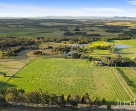 Rural / Farming commercial property for sale at 217 Deaseys Road Pokolbin NSW 2320