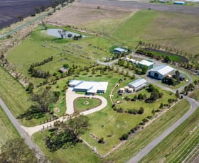 Rural / Farming commercial property sold at 529 Tummaville Road Pittsworth QLD 4356