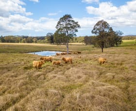 Rural / Farming commercial property for sale at 315 Warraba Road Stroud NSW 2425