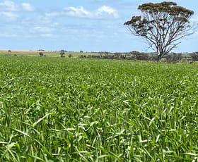 Rural / Farming commercial property sold at . 'Merv's' 706 ha 1744 acres Meckering WA 6405