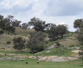 Rural / Farming commercial property sold at 73 Mount McDonald Road Darbys Falls NSW 2793