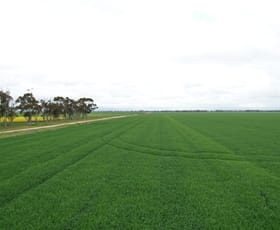 Rural / Farming commercial property for sale at C/A 12 & 13 Elmore-Mitiamo Road Milloo VIC 3572
