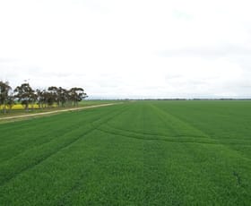 Rural / Farming commercial property for sale at C/A 12 & 13 Elmore-Mitiamo Road Milloo VIC 3572