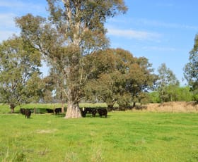 Rural / Farming commercial property sold at 580 Gregadoo East Rd Wagga Wagga NSW 2650