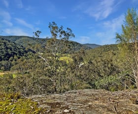 Rural / Farming commercial property for sale at 2165 Wollombi Road Sweetmans Creek NSW 2325