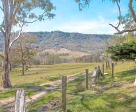 Rural / Farming commercial property sold at 415 Lambs Valley Road Lambs Valley NSW 2335
