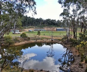 Rural / Farming commercial property for sale at 1809 Numeralla Road Cooma NSW 2630