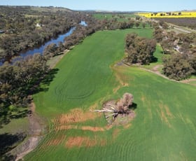 Rural / Farming commercial property sold at Lot 4 Great Southern Highway York WA 6302