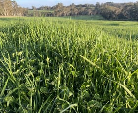 Rural / Farming commercial property sold at Lot/1 Fitzgeralds Lane Brimboal VIC 3312