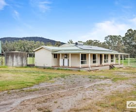 Rural / Farming commercial property sold at 4480 Stawell-Avoca Road Frenchmans VIC 3384