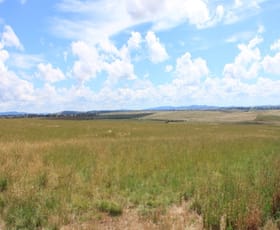 Rural / Farming commercial property sold at 300 Dog Trap Road Yass NSW 2582