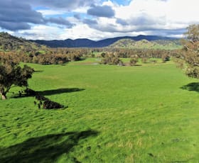 Rural / Farming commercial property sold at 330 Quidong Road Tumut NSW 2720