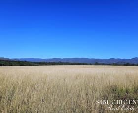Rural / Farming commercial property for sale at 1373 Wolfram Road Dimbulah QLD 4872