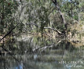Rural / Farming commercial property for sale at 1373 Wolfram Road Dimbulah QLD 4872