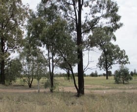 Rural / Farming commercial property sold at 1325 Tara Kogan Road Tara QLD 4421