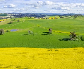 Rural / Farming commercial property sold at 490 Reg Hailstone Way Woodstock NSW 2793