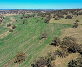 Rural / Farming commercial property sold at 'Valley View' Racecourse Road Cassilis NSW 2329