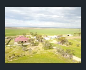 Rural / Farming commercial property sold at 2604 Templeton Road Everard Central SA 5461