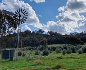 Rural / Farming commercial property sold at "Pandoorah" 1638 Mt Hope Road Coolah NSW 2843