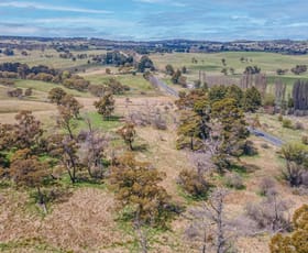 Rural / Farming commercial property sold at 2639 Great Western Highway Meadow Flat NSW 2795