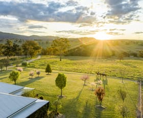 Rural / Farming commercial property sold at 805 Sandy Flat Road Tenterfield NSW 2372