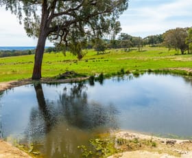 Rural / Farming commercial property sold at Springardo Sanderson Road Springhurst VIC 3682