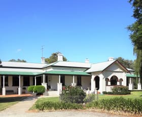 Rural / Farming commercial property for sale at 2130 Pine Lodge Rd Tocumwal NSW 2714