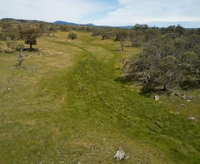 Rural / Farming commercial property sold at Sturgeons/Proposed Lot 2, 282 Hilltop Road Berridale NSW 2628
