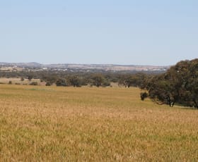 Rural / Farming commercial property sold at . MANNALEA Grass Valley WA 6403