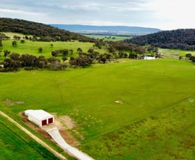 Rural / Farming commercial property sold at 134 Wambanumba Drive Young NSW 2594