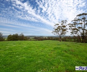 Rural / Farming commercial property sold at 1275 Tops Road Walcha NSW 2354
