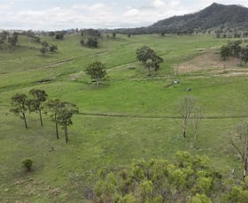 Rural / Farming commercial property for sale at Calliope QLD 4680