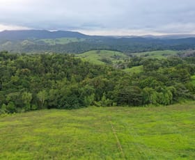 Rural / Farming commercial property sold at 4809 Palmerston Highway Millaa Millaa QLD 4886