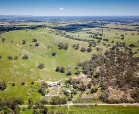 Rural / Farming commercial property for sale at 237 Long Gully Road Violet Town VIC 3669